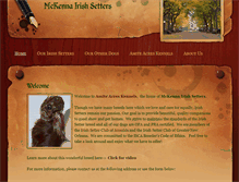 Tablet Screenshot of mckennairishsetters.com